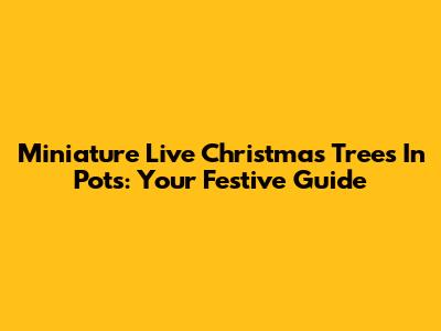 Miniature Live Christmas Trees In Pots: Your Festive Guide