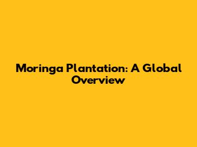 Moringa Plantation: A Global Overview