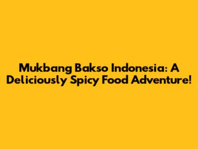 Mukbang Bakso Indonesia: A Deliciously Spicy Food Adventure!
