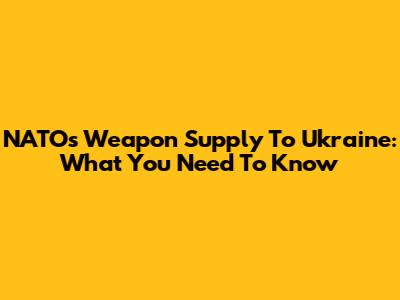 NATO's Weapon Supply To Ukraine: What You Need To Know