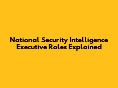 National Security Intelligence Executive Roles Explained