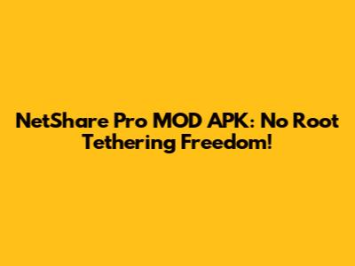 NetShare Pro MOD APK: No Root Tethering Freedom!