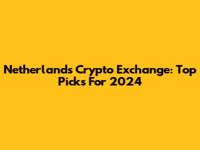 Netherlands Crypto Exchange: Top Picks For 2024