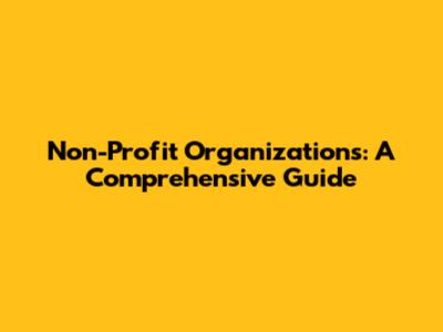 Non-Profit Organizations: A Comprehensive Guide