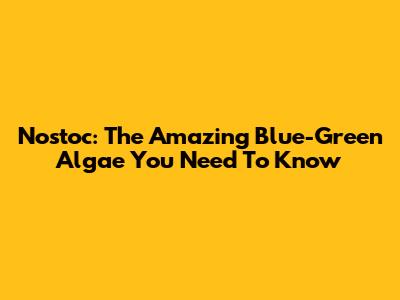 Nostoc: The Amazing Blue-Green Algae You Need To Know