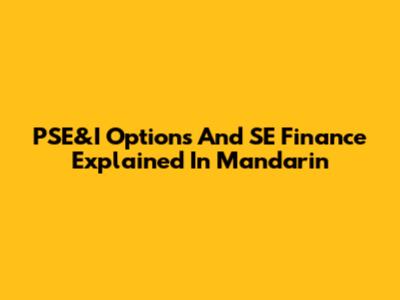 PSE&I Options And SE Finance Explained In Mandarin