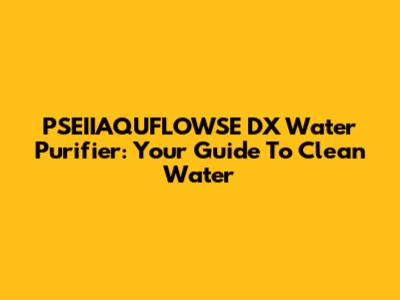 PSEIIAQUFLOWSE DX Water Purifier: Your Guide To Clean Water