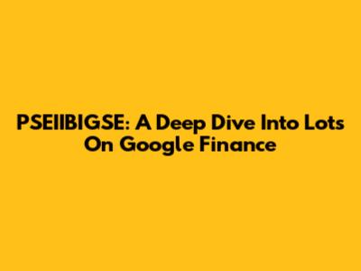 PSEIIBIGSE: A Deep Dive Into Lots On Google Finance