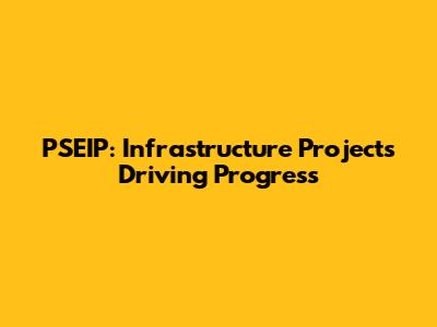 PSEIP: Infrastructure Projects Driving Progress