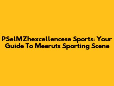 PSelMZhexcellencese Sports: Your Guide To Meerut's Sporting Scene
