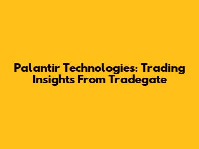Palantir Technologies: Trading Insights From Tradegate