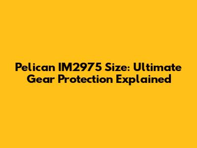 Pelican IM2975 Size: Ultimate Gear Protection Explained