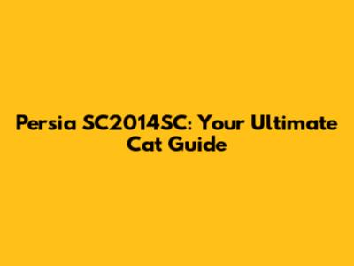 Persia SC2014SC: Your Ultimate Cat Guide