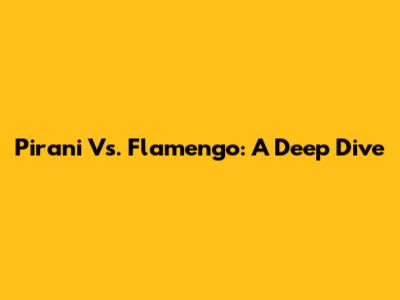 Pirani Vs. Flamengo: A Deep Dive