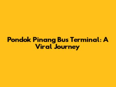 Pondok Pinang Bus Terminal: A Viral Journey