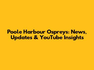 Poole Harbour Ospreys: News, Updates & YouTube Insights