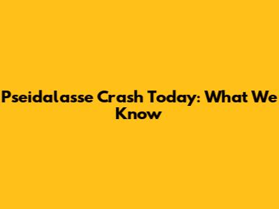 Pseidalasse Crash Today: What We Know