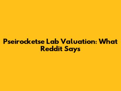 Pseirocketse Lab Valuation: What Reddit Says