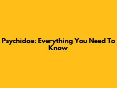 Psychidae: Everything You Need To Know