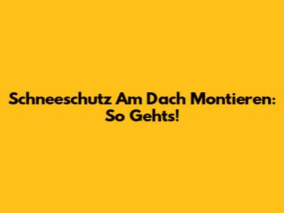 Schneeschutz Am Dach Montieren: So Geht's!