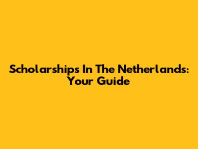 Scholarships In The Netherlands: Your Guide