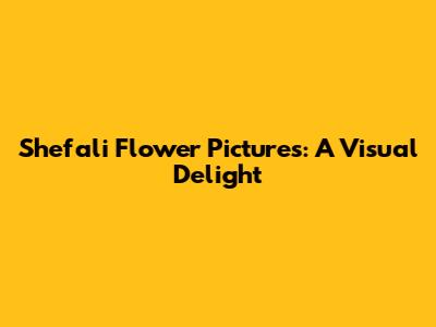 Shefali Flower Pictures: A Visual Delight