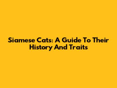 Siamese Cats: A Guide To Their History And Traits