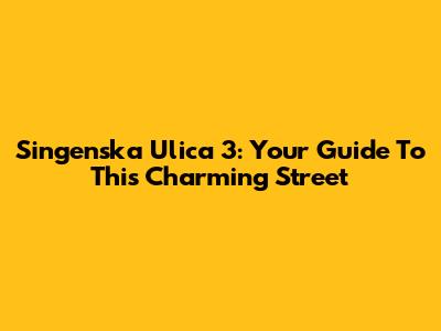 Singenska Ulica 3: Your Guide To This Charming Street