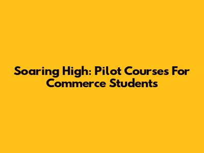 Soaring High: Pilot Courses For Commerce Students