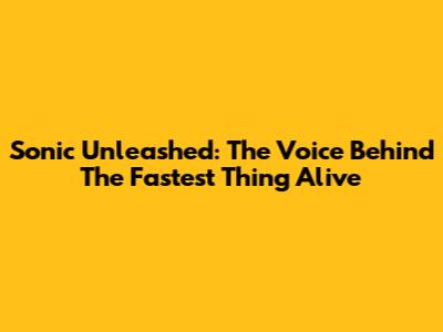 Sonic Unleashed: The Voice Behind The Fastest Thing Alive