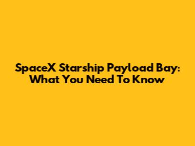 SpaceX Starship Payload Bay: What You Need To Know