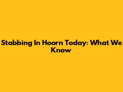 Stabbing In Hoorn Today: What We Know