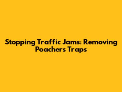 Stopping Traffic Jams: Removing Poachers' Traps