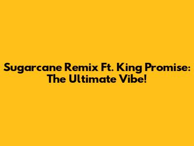 Sugarcane Remix Ft. King Promise: The Ultimate Vibe!