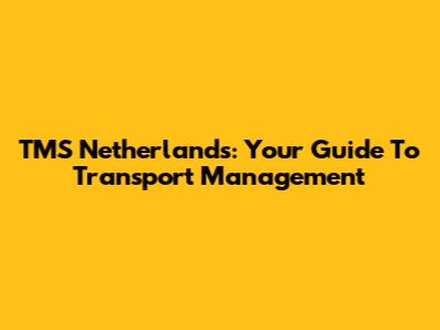 TMS Netherlands: Your Guide To Transport Management