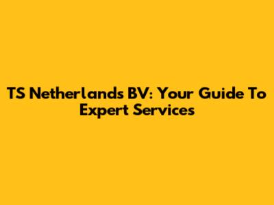 TS Netherlands BV: Your Guide To Expert Services