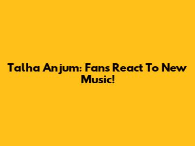 Talha Anjum: Fans React To New Music!
