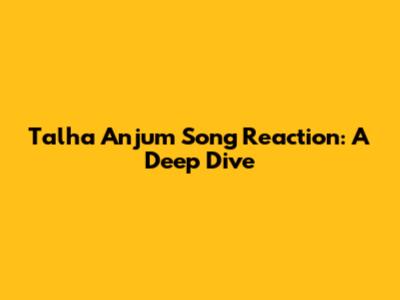 Talha Anjum Song Reaction: A Deep Dive