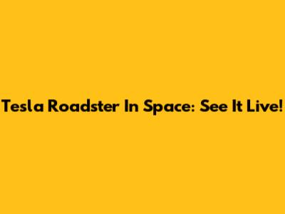 Tesla Roadster In Space: See It Live!
