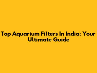 Top Aquarium Filters In India: Your Ultimate Guide