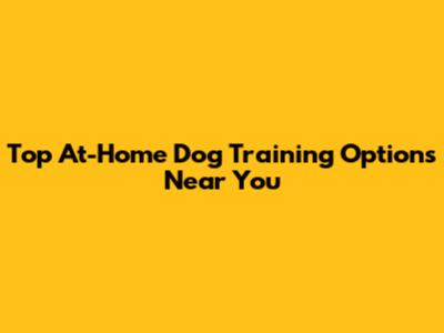 Top At-Home Dog Training Options Near You