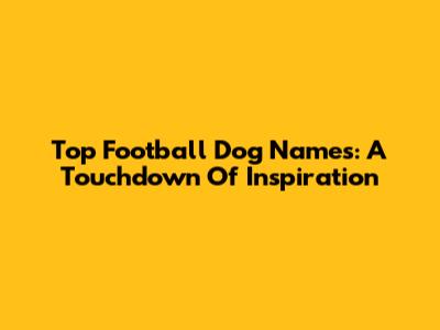 Top Football Dog Names: A Touchdown Of Inspiration