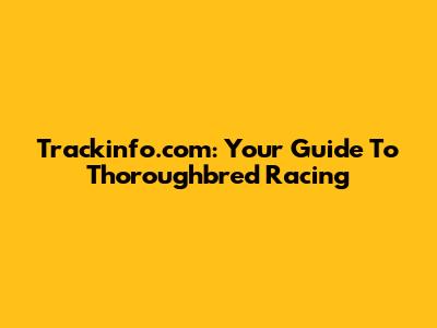Trackinfo.com: Your Guide To Thoroughbred Racing