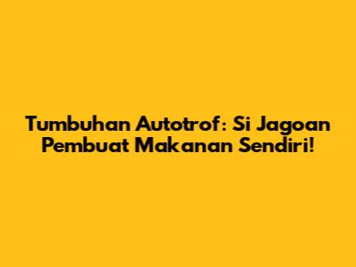 Tumbuhan Autotrof: Si Jagoan Pembuat Makanan Sendiri!
