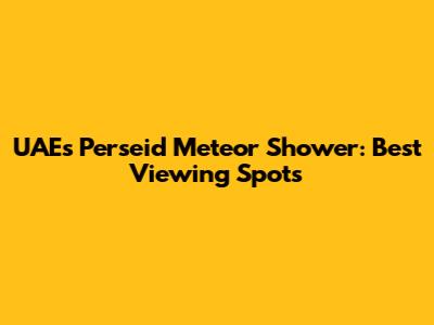 UAE's Perseid Meteor Shower: Best Viewing Spots