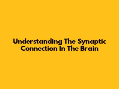 Understanding The Synaptic Connection In The Brain