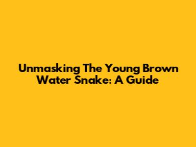 Unmasking The Young Brown Water Snake: A Guide