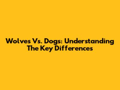 Wolves Vs. Dogs: Understanding The Key Differences