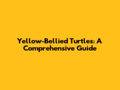 Yellow-Bellied Turtles: A Comprehensive Guide