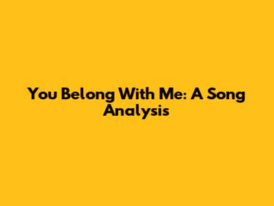 You Belong With Me: A Song Analysis